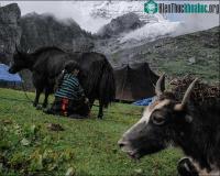 Ảnh Hình ảnh hiếm ghi lại cuộc sống bình yên của người dân Bhutan, "vương quốc hạnh phúc nhất thế giới"