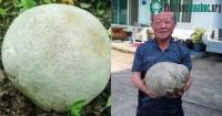 Ảnh Nhặt được "quả trứng" kỳ lạ, người đàn ông đã ngỡ ngàng khi biết lai lịch của nó