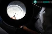 Ảnh Mỹ phê duyệt vắc xin đầu tiên trên thế giới phòng bệnh chikungunya do muỗi vằn đốt