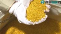 Ảnh Rác thải điện tử thu về lượng vàng gấp 56 lần khai thác trong tự nhiên