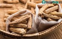 Ảnh Công dụng của đảng sâm, loại thảo dược được xem như "nhân sâm của người nghèo"