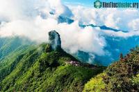 Ảnh Độc lạ với loài cá quý như nhân sâm, là lộc trời chỉ có tại Hoàng Liên Sơn: Bị bắt bằng cách "chuốc say"