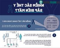 Ảnh Nhiễm sắc thể Y chuẩn bị biến mất, chuyện gì sẽ xảy ra với đàn ông?