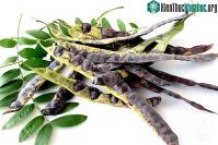 Ảnh Không có xà phòng, người xưa đã gội đầu bằng cách nào?