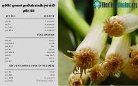 Ảnh Ăn tỏi tây lâu năm nhưng bạn đã biết đến 6 lợi ích "vàng" của loại rau gia vị này?