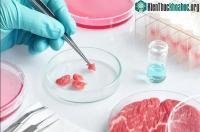 Ảnh Thịt nhân tạo liệu có khả năng thay thế được thịt truyền thống trên bàn ăn?