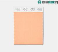 Ảnh Pantone đã công bố màu của năm 2024: Đại diện cho lòng nhân ái, sự kết nối con người và sức khỏe tinh thần