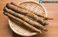 Ảnh Loại rễ cây được ví giống "máy thanh lọc máu" và phòng ngừa ung thư