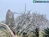 Ảnh Đâu là nơi lạnh nhất Việt Nam? Không phải đỉnh Fansipan hay Sa Pa, điểm này cách Hà Nội chưa đến 200km