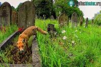 Ảnh Sự sống mãnh liệt trỗi dậy ở nơi vốn chỉ có chết chóc