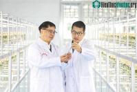 Ảnh Trung Quốc cho trồng thử giống khoai tây do tàu Thần Châu-16 mang về từ không gian