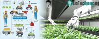 Ảnh Bên trong những trang trại nông nghiệp chỉ có robot