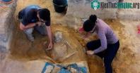 Ảnh Xây chung cư, phát hiện ra "kho báu cực khủng" với 100.000 món cổ vật