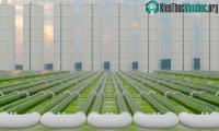 Ảnh Hoạt động của nhà máy đầu tiên kết hợp thu giữ carbon và lọc nước mặn