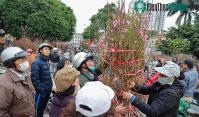 Ảnh 60 năm qua, thời tiết Tết năm Thìn có điểm gì đặc biệt?