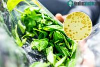 Ảnh Mỹ cảnh báo vi khuẩn cực độc có ở trong thực phẩm