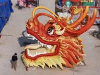 Ảnh Sự thật về việc người sinh năm Thìn hay có thành tích cao hơn?