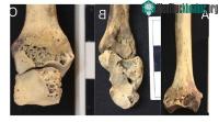 Ảnh Tiết lộ mới về ngôi mộ phụ nữ Nubian với 3.500 năm tuổi
