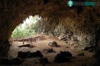 Ảnh Loài người cổ đại có thể vẫn còn sống trên đảo Flores tại Indonesia