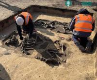 Ảnh Phát hiện bộ xương 6.000 năm tuổi khi khởi công nhà máy chip