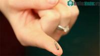 Ảnh Gắn chip vào chó mèo thì có tác dụng gì, hoạt động ra sao?