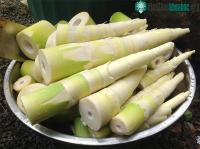 Ảnh Măng tre có thể cung cấp được nguồn protein tương tự sữa bò