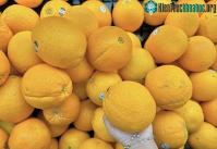 Ảnh Dùng vitamin C như thế nào không hại thận?