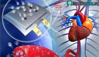 Ảnh Tạo ra pin oxygen có thể cấy ghép mãi mãi trong cơ thể