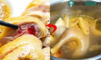 Ảnh Vì sao thịt gà luộc mãi vẫn cứ đỏ?