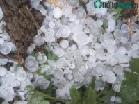 Ảnh Dự báo mưa đá còn xuất hiện nhiều ở miền Bắc trong thời gian tới