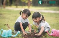Ảnh “Nhân quả” liệu có tồn tại không? Tại sao khoa học cũng cho rằng nhân quả có thật?