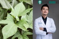 Ảnh Loại rau người Trung Quốc yêu thích được mệnh danh là “rau trường thọ”: Chợ Việt Nam có rất nhiều!
