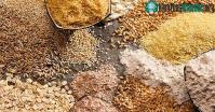 Ảnh 12 món ăn mà người trăm tuổi trên đảo trường thọ Hy Lạp hay dùng