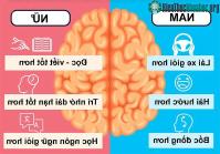 Ảnh Bằng chứng chứng minh nam giới có thể lái xe giỏi hơn phụ nữ