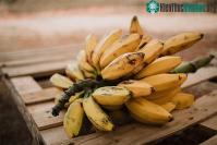 Ảnh Những loại thực phẩm nhanh bị hỏng khi bảo quản trong tủ lạnh