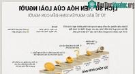 Ảnh Hành trình tiến hóa 4 tỷ năm của loài người từ tế bào nguyên sinh tới người tinh khôn
