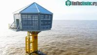 Ảnh Bồi thường "tổ chim nhân tạo" khi xây dựng lại trang trại năng lượng gió