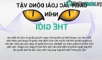 Ảnh Thế giới xung quanh trong mắt những loài động vật như thế nào?