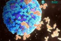 Ảnh Những nhà khoa học vừa tìm ra bí mật của virus cúm