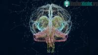 Ảnh Cảnh báo "máy tính- não người" của tỷ phú Elon Musk dễ bị tấn công và thao túng bởi bên thứ 3