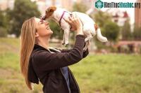 Ảnh Để chó liếm vào mặt, nên hay không nên?