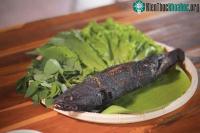 Ảnh Top 4 loại cá làm dịu các cơn đau nhức xương khớp