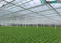 Ảnh Học hỏi cách Hà Lan ứng phó với biến đổi khí hậu
