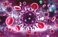 Ảnh Những nhà khoa học tuyên bố có thể cắt virus HIV khỏi tế bào