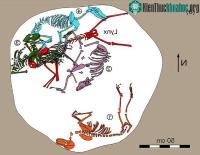 Ảnh Mộ cổ với 1.500 tuổi của 5 sinh vật khiến giới khảo cổ bối rối