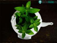 Ảnh Lợi ích sức khỏe của lá bạc hà mà bạn nên biết