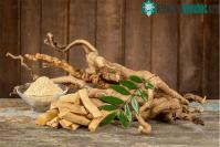 Ảnh Việt Nam có loại cây phơi khô là “dược liệu vàng” giúp bổ gan, đào thải acid uric hiệu quả