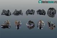 Ảnh Đức đã phát hiện thành viên chưa từng biết của họ Người