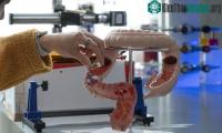 Ảnh "Thuốc AI" giúp phát hiện vị trí mắc bệnh trong cơ thể