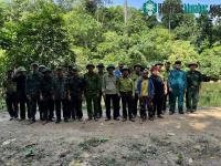 Ảnh Nghi vấn hổ xuất hiện ở Quảng Bình: Người phụ nữ nhìn thấy hổ từ phía sau!